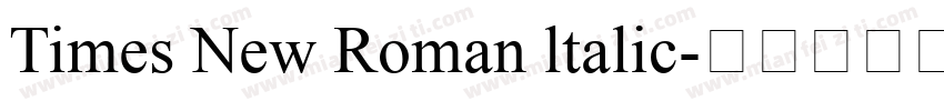 Times New Roman ltalic字体转换